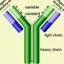 Recombinant Agrobacterium tumefaciens T-DNA border endonuclease virD2 protein