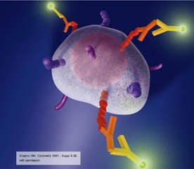 DAKO QIFIKIT for Flow Cytometry / Набор QIFIKIT для количественного определения антигенов на клеточной поверхности 