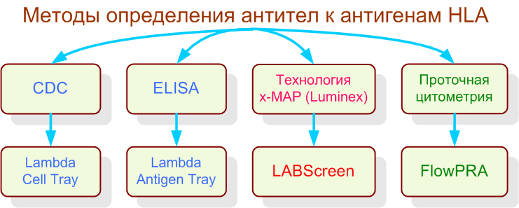 Методы определения антител к антигенам HLA