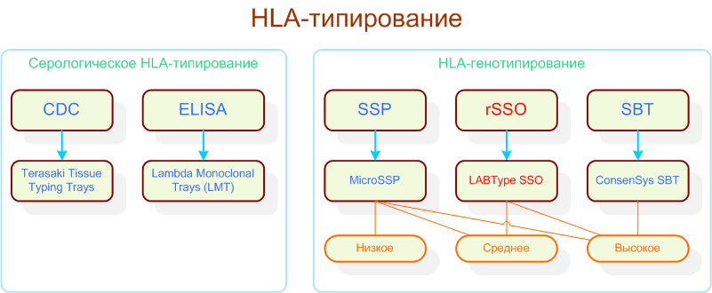 HLA-типирование