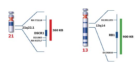 Poseidon™ Repeat Free™ Chromosome 13 (13q14) & 21 (21q22) Specific probes