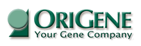 OriGene