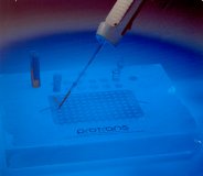   PROTRANS PCR Workstation