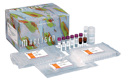 NAPAP: Marligen Rapid Ligation sample