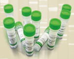 Recombinant Human 5'-Nucleotidase, Cytosolic IIIB / NT5C3B