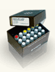 Seeplex™ Leukemia PML/RARa Set