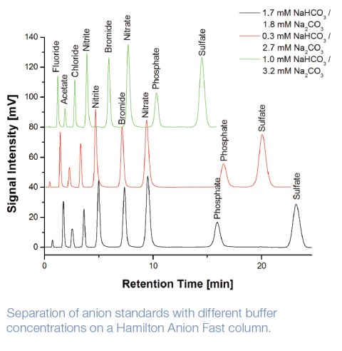 Anion Fast / A FAST 4.6x100 PEEK 5µm