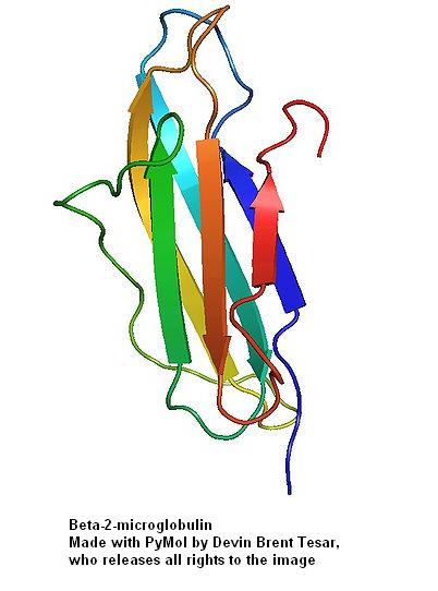 Beta-2-Microglobulin
