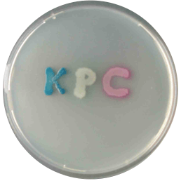 CHROMagar KPC