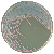 CHROMagar Staph aureus