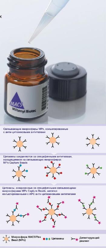  MACSPlex Cytokine 12 K