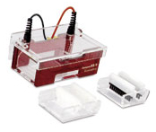   - Compact M