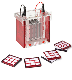 Blot Module