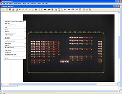 BioDocAnalyze module