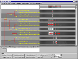 Similarity Analysis module