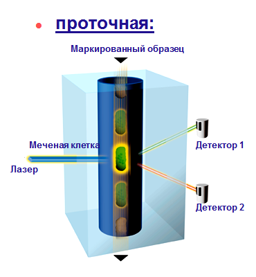 Проточная цитометрия картинки