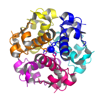Инсулин / Insulin ELISA Kit