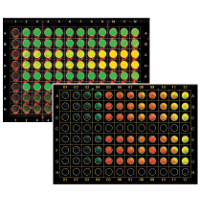 In Cell Western assay