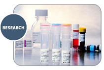 KIR SSO Genotyping -    -     (NK) / KIR SSO Genotyping Test