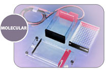    MicroSSP