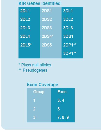   KIR,   KIR SSO Genotyping