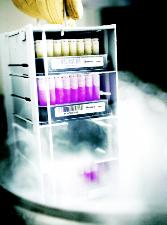    Nunc BANK-IT  , 1 ,  2D  / 1ml Bank-It 2D 960/cs
