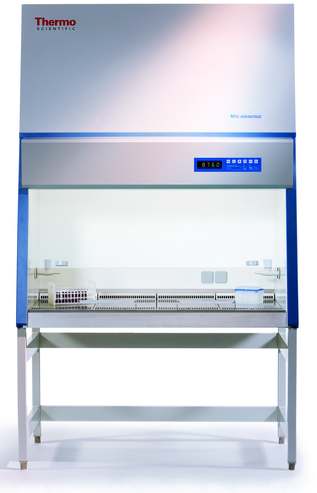   MSC Advantage 2-  
