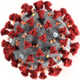 Recombinant Human Novel Coronavirus Nucleoprotein(N)