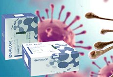 AF/LE Purified Anti-Mouse CD48 Monoclonal Antibody